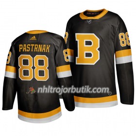 Män Ishockey Boston Bruins tröja David Pastrnak 88 Adidas 2019-20 Svart Authentic